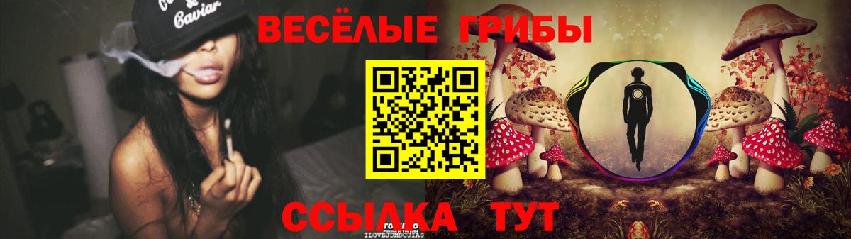 Псилоцибиновые грибы Cubensis  Галлюциногенные грибы GOLDEN TEACHER  Вход с VPN  Коммунар 